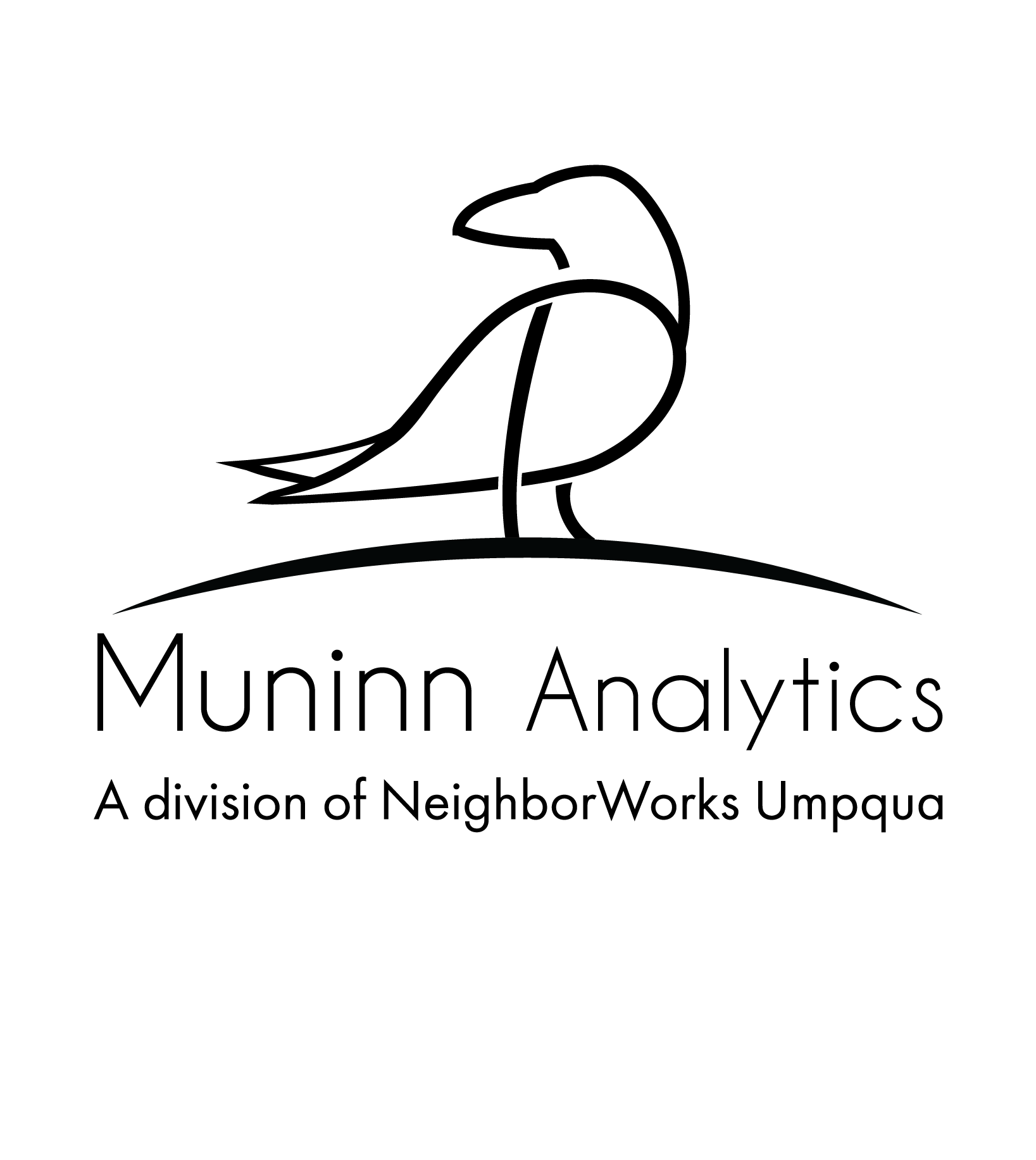 Muninn Analytics